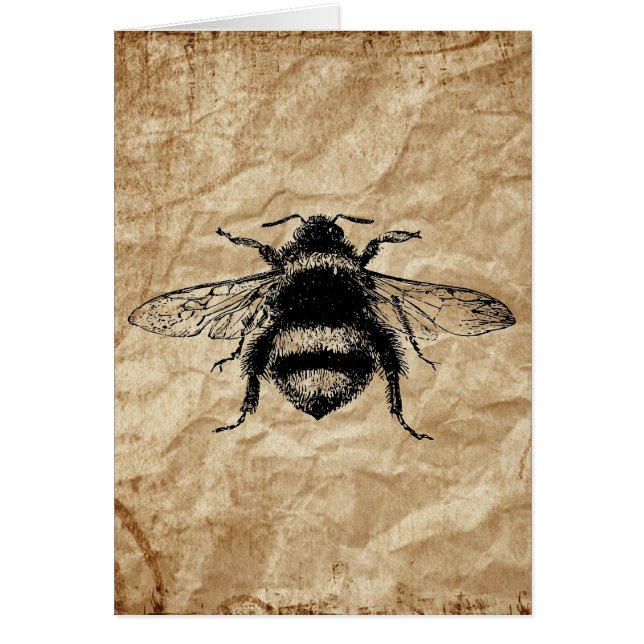 Cartão Vintage Bumble Bee (Frente)