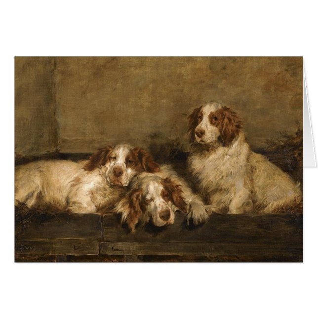 Cartão Vintage - cães do Spaniel de Clumber, (Frente Horizontal)