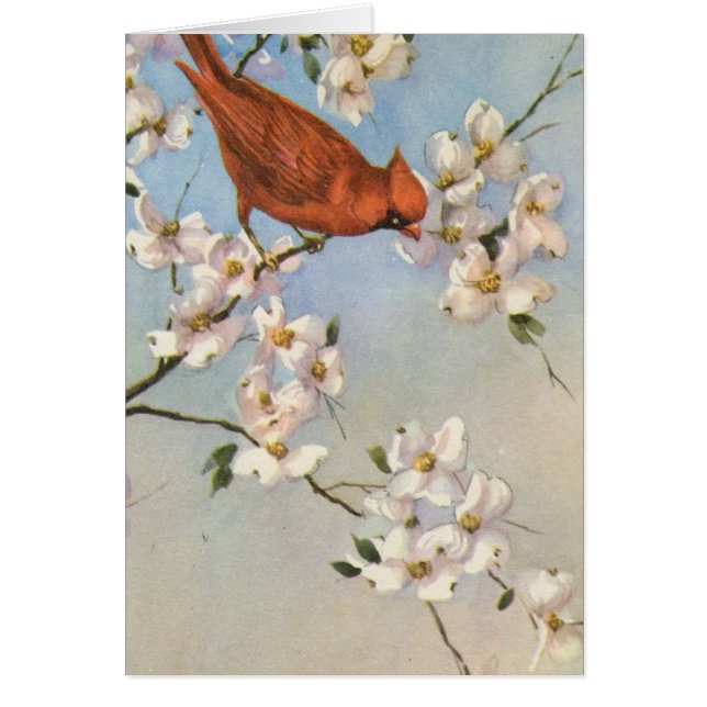 Cartão Vintage Cardinal (Frente)