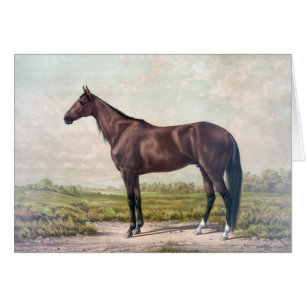 Cartão Vintage - cavalo de raça majestoso,