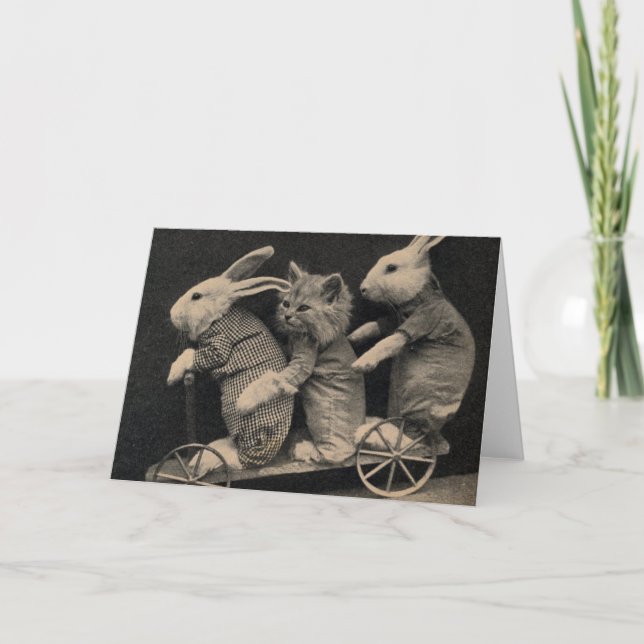 Cartão Vintage - coelhos e gatinho, (Frente)