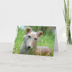 Cartão Vintage Corgi