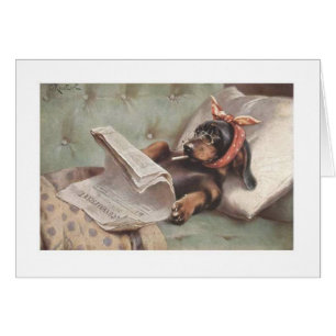 Cartão Vintage - Dachshund no sofá,