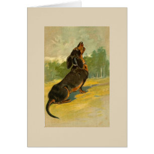 Cartão Vintage - Dachshund que urra,