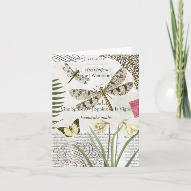 Cartão Vintage Dragonflies notecard (Frente)