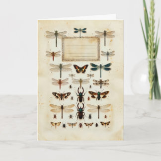 Cartão Vintage Dragonfly Beetle Taxonomy Specimen Chart