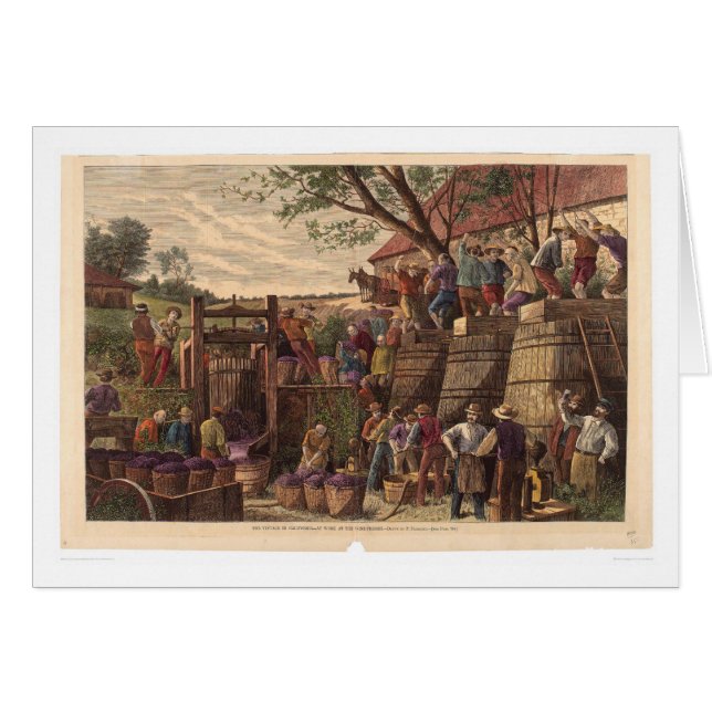 Cartão Vintage em Califórnia (0604A) (Frente Horizontal)