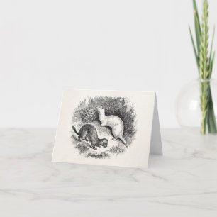 Cartão Vintage Ferret 1800s Ferrets Weasels Minks