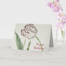 Vintage Fine Art, White and Red Tulip Birday