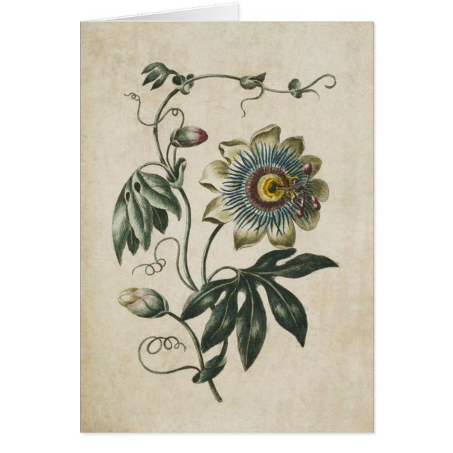 Cartão Vintage Floral Botânica Floral Flor (Frente)