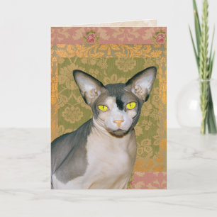Cartão Vintage Floral Damask Sphynx Cat Aniversário