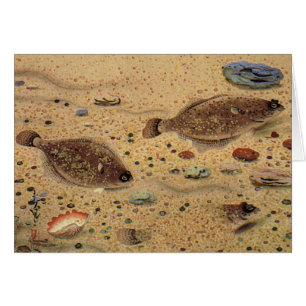 Cartão Vintage Flounders, Marine Ocean Life Flat Fish