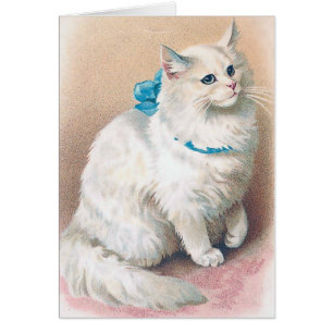 Cartão Vintage - gato branco com arco azul,