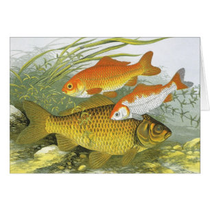 Cartão Vintage Goldfish Koi Fish, Marinho Aquático Vida M