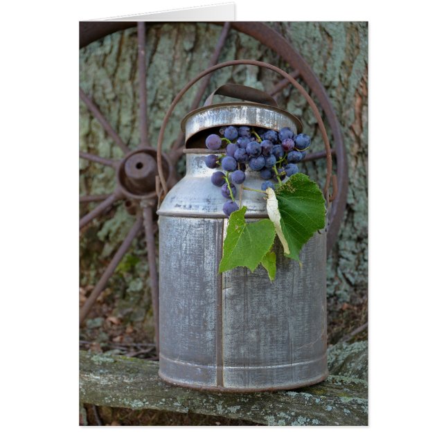 Cartão Vintage Graphics (Frente)