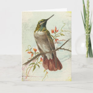 Cartão Vintage Hummingbird, Aniversário