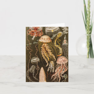 Cartão Vintage Jellyfish Antique Jelly Fish Illustration