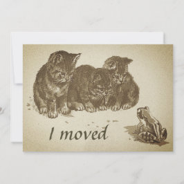Cartão Vintage Kittens e Sapo I Mudou de Endereço