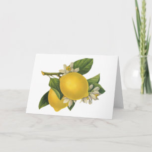 Cartão Vintage Lemons Illustration