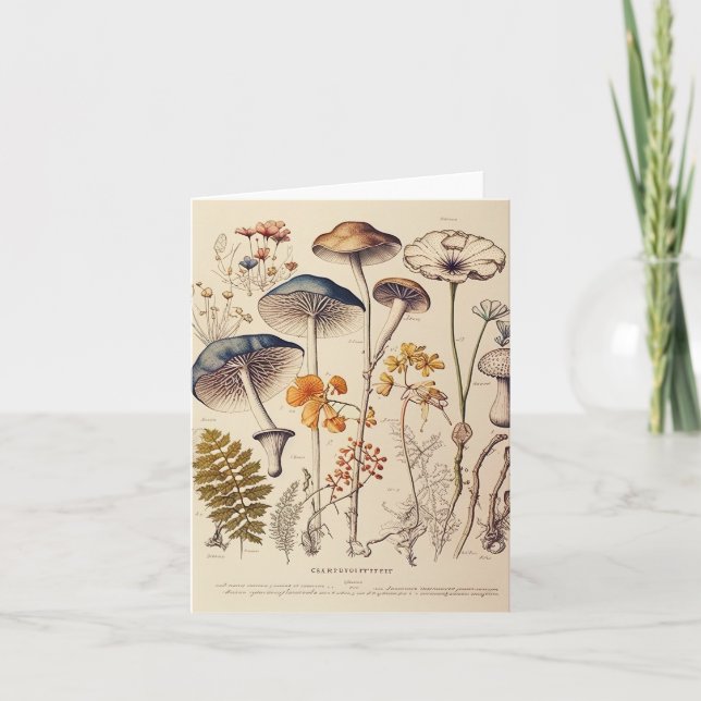 Cartão Vintage Mushroom Naturalist (Frente)