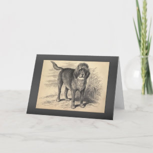 Cartão Vintage Otterhound Greetings