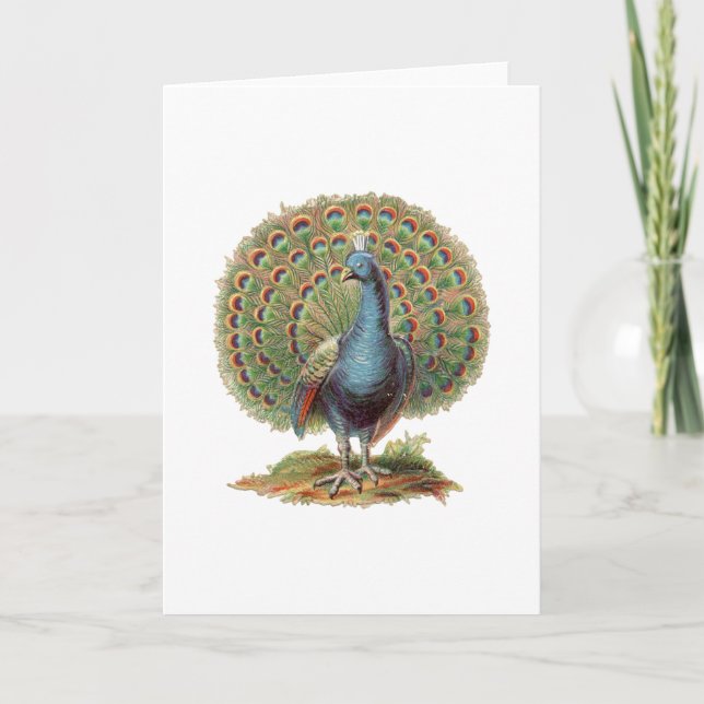 Cartão Vintage Peacock... (Frente)