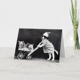 Cartão Vintage Puppies and Kittens Note Cards