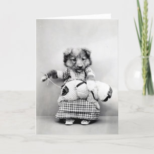 Cartão Vintage Puppies and Kittens Note Cards