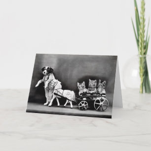 Cartão Vintage Puppies and Kittens Note Cards