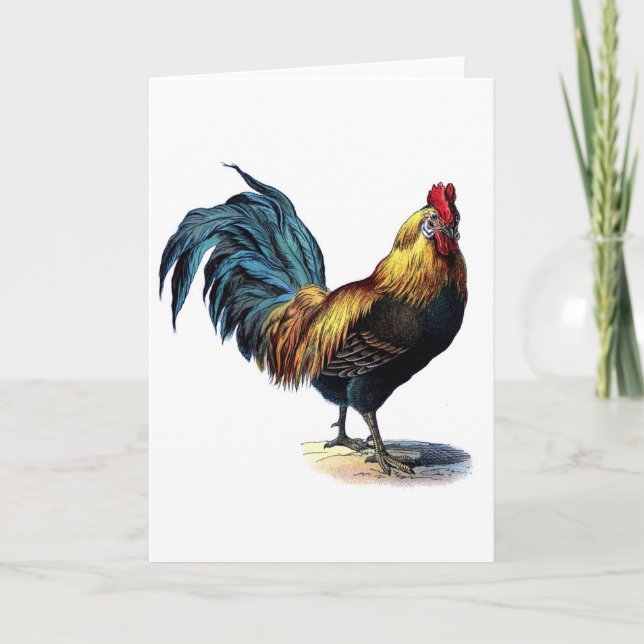 Cartão Vintage Rooster (Frente)