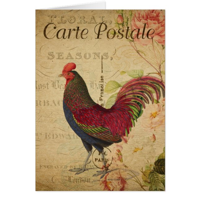 Cartão Vintage Rooster Postcard Collage Blank Inside (Frente)