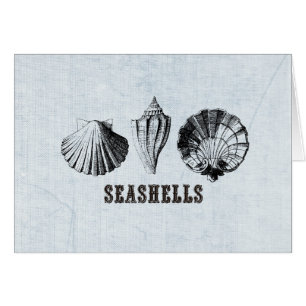 Cartão Vintage Seashells