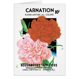 Cartão Vintage Seed Packet Label Art, Flores de Cárnatos