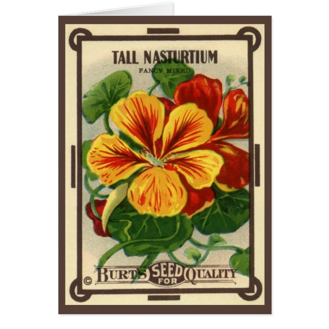 Cartão Vintage Seed Packet Label Art, Nasturtium Flowers (Frente)