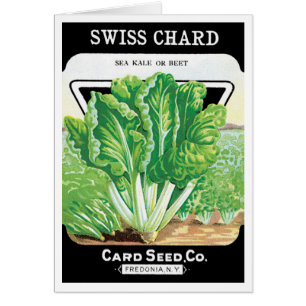 Cartão Vintage Seed Packet Label Art, Suíços Chard Vegggi