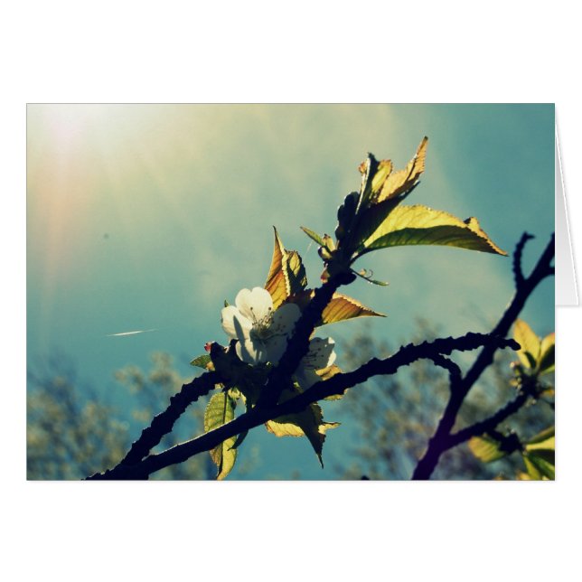 Cartão Vintage Sky (Frente Horizontal)