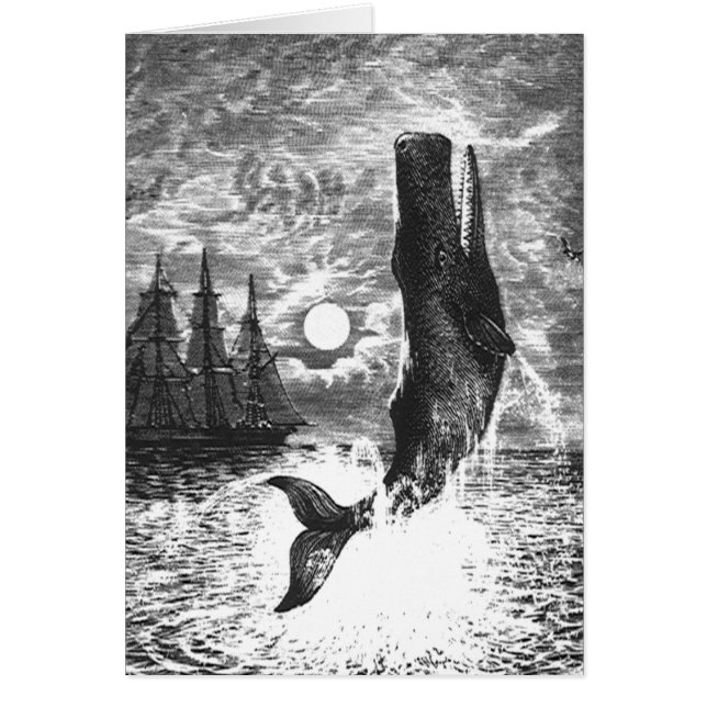 Cartão Vintage Sperm Whale Breaking, Animais Marinhos (Frente)
