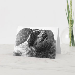 Cartão Vintage Springer Spaniel art