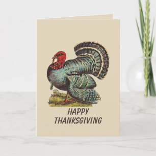 Cartão Vintage Turquia