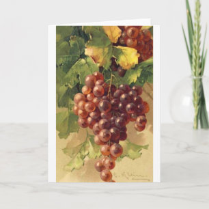 Cartão Vintage - Uvas na Vinha,