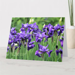 Cartão Violet Blue Siberian Iris, Irmão de Ceasar