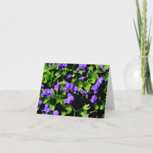 Cartão Violet Note Cards