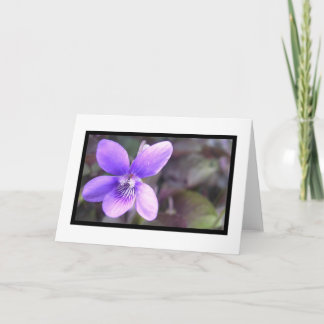 Cartão Violeta