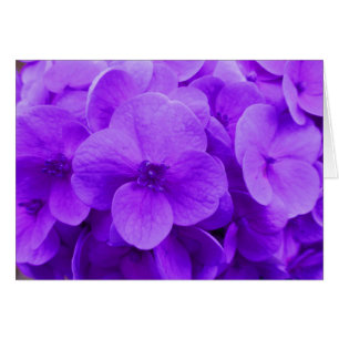 Cartão Violeta Azul