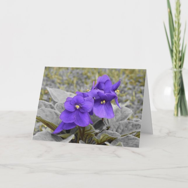 Cartão Violeta, carta (Frente)