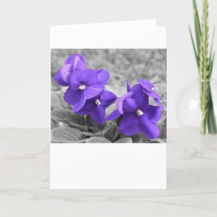 Cartão Violeta, carta