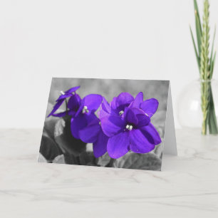 Cartão Violeta, carta