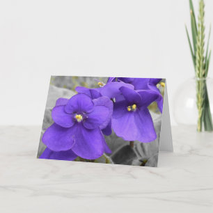 Cartão Violetas