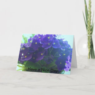 Cartão Violetas Africanos