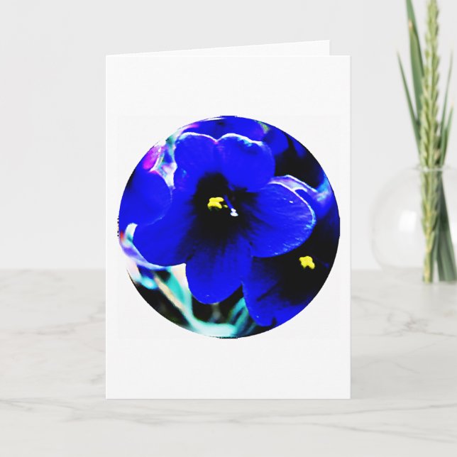 Cartão Violetas Africanos (Frente)